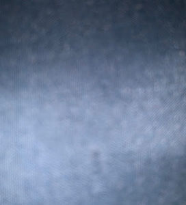 Meet your Posher, Donald